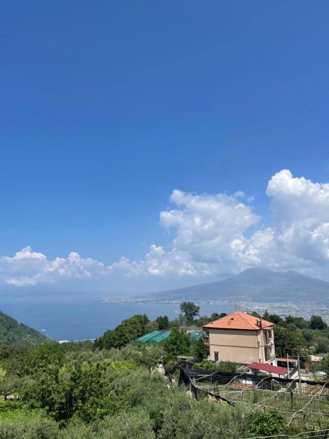 Villa Marilu 皮埃蒙特 外观 照片